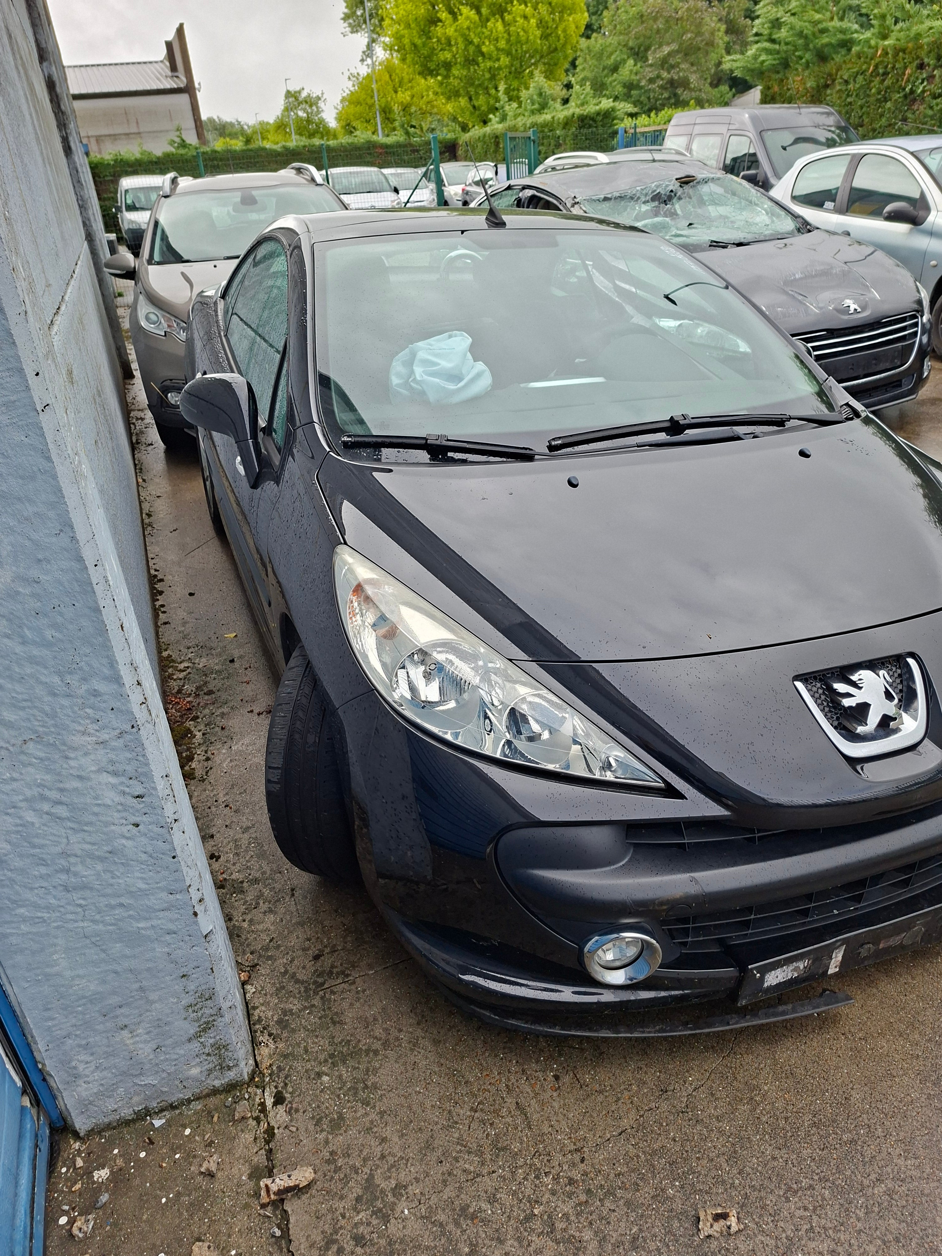 PEUGEOT 207CC