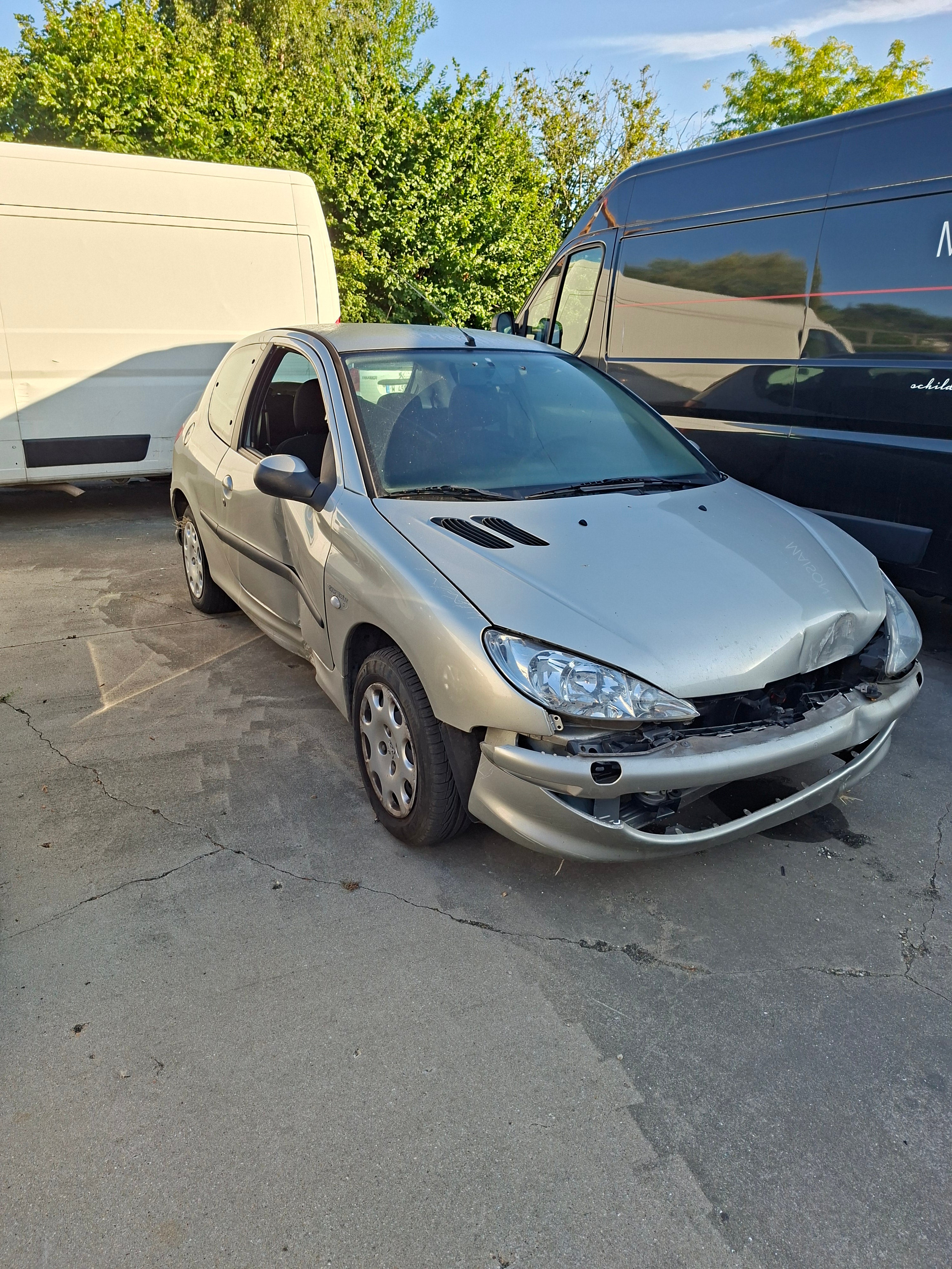 PEUGEOT 206 LICHT GRIJS