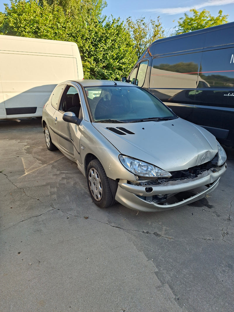 PEUGEOT 206 LICHT GRIJS