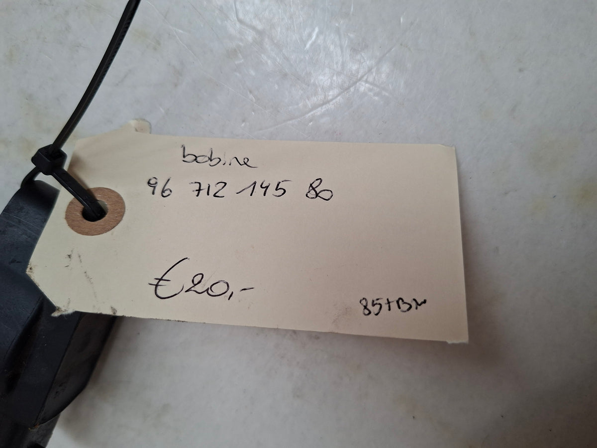 Originele injector van een Peugeot 208, bouwjaar 2013