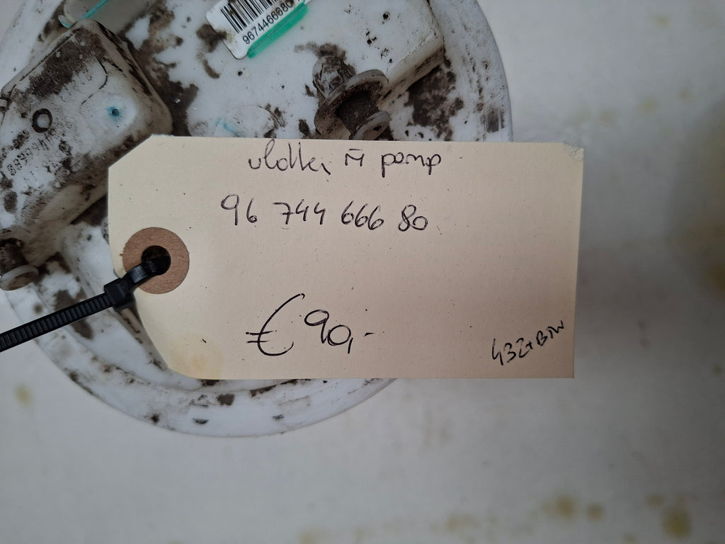 Originele vlotter met pomp van een Peugeot 208 (OEM 96 744 666 80), bouwjaar 2013