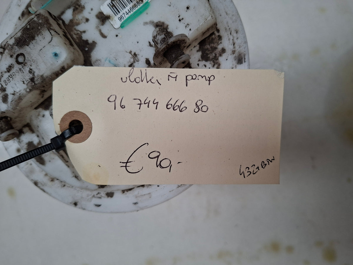 Originele vlotter met pomp van een Peugeot 208 (OEM 96 744 666 80), bouwjaar 2013