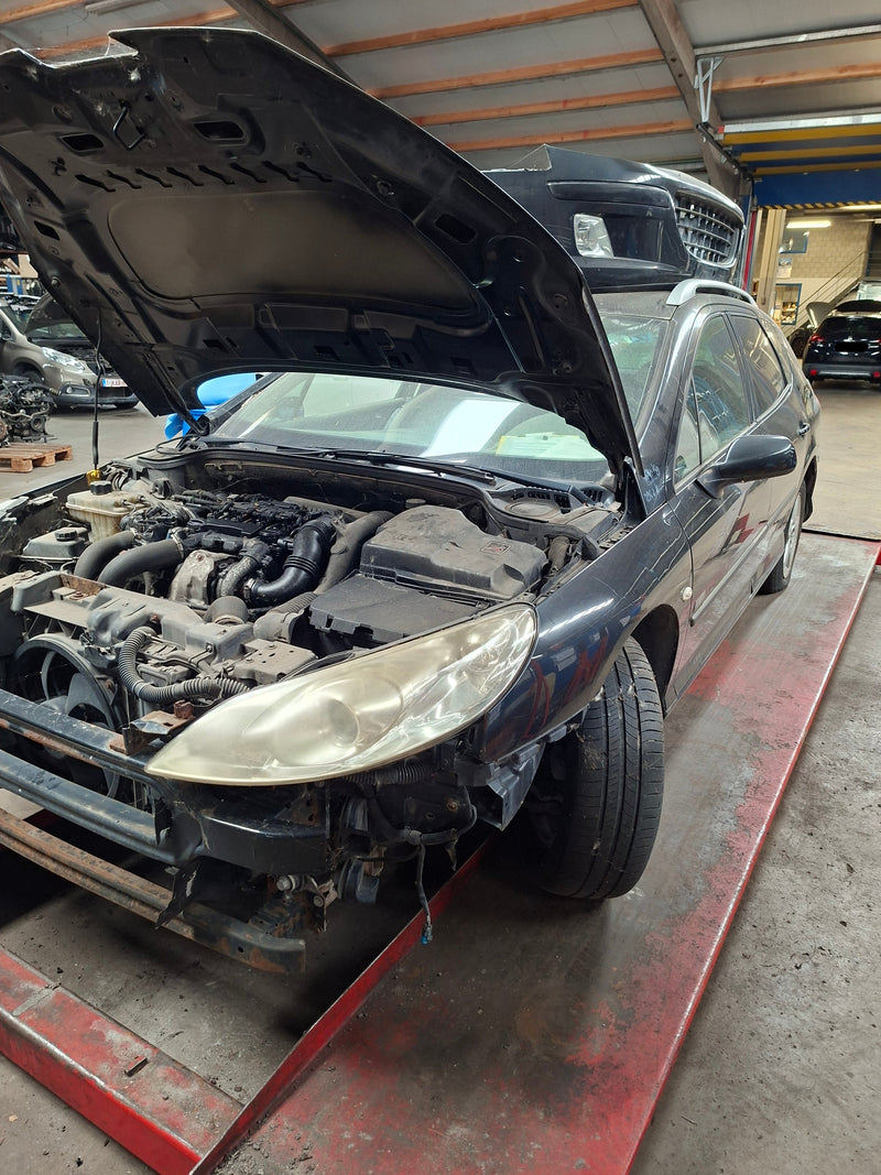 PEUGEOT 407 SW