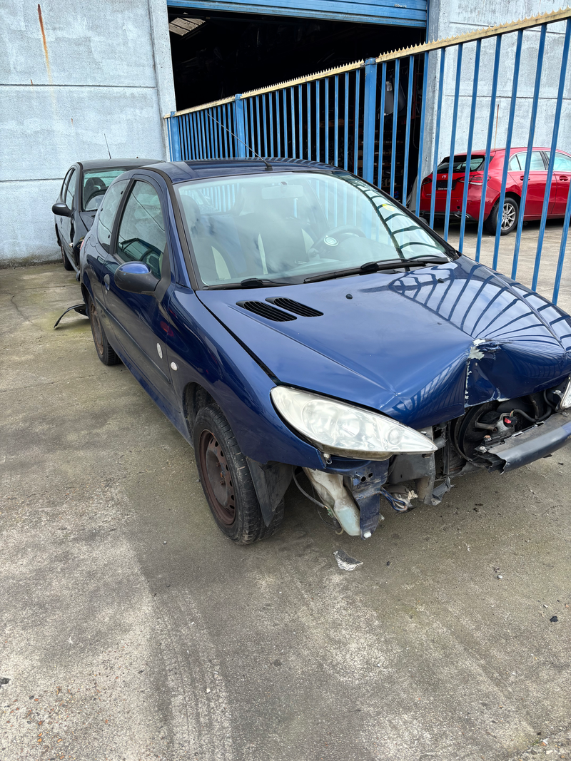 Peugeot 206 DK blauw