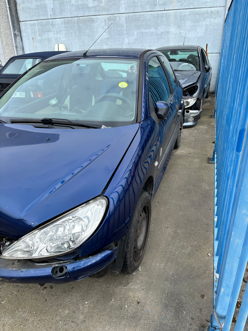 Peugeot 206 DK blauw
