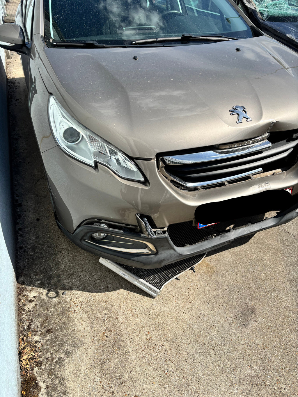 PEUGEOT 2008 A94F BRUIN