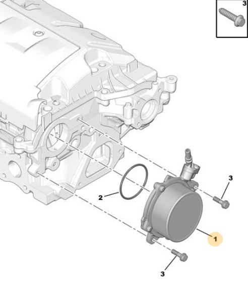 Vacuum pump Peugeot 207 CC (4565 77)